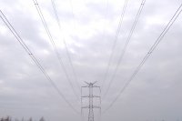 Zdjęcie 4