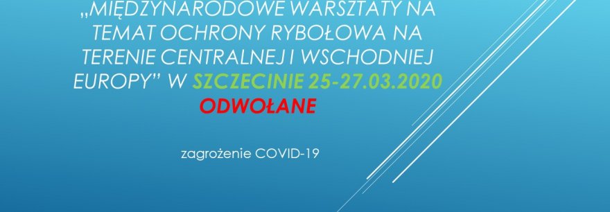 Międzynarodowe warsztaty w Szczecinie