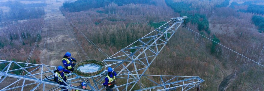 Nowe platformy dla rybołowów na słupach PSE