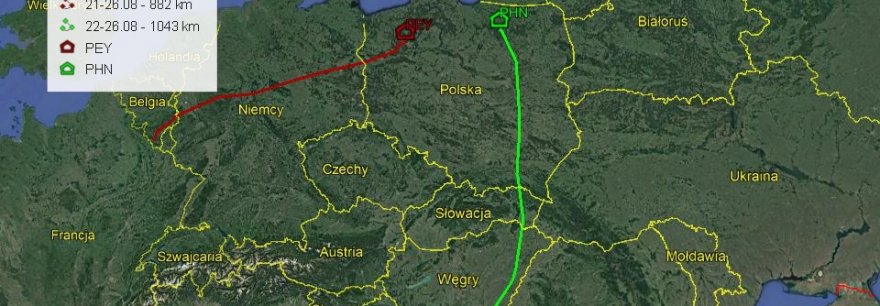 Młode rybołowy już lecą!